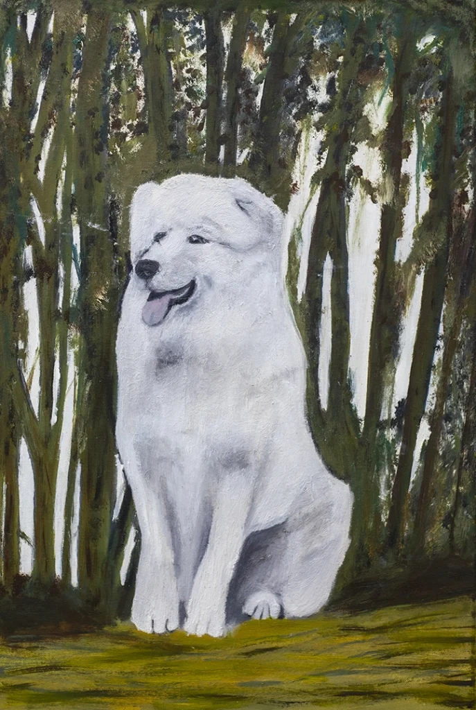 Un día de bosque